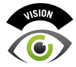 Vision